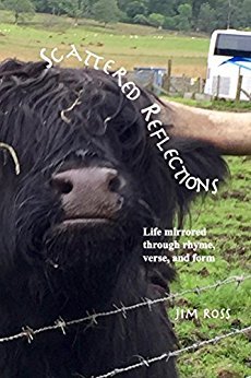 Full Download Scattered Reflections: Life through rhyme, verse, and form - James Lee Ross file in ePub