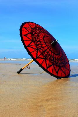 Read A Red and Black Umbrella on the Shore: Blank 150 Page Lined Journal for Your Thoughts, Ideas, and Inspiration -  | PDF