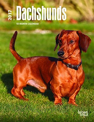 Download Dachshunds 2017 Calendar (Multilingual Edition) -  file in ePub