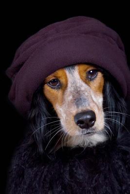 Download Diva Dog in Hat and Boa Journal: 150 Page Lined Notebook/Diary -  | ePub