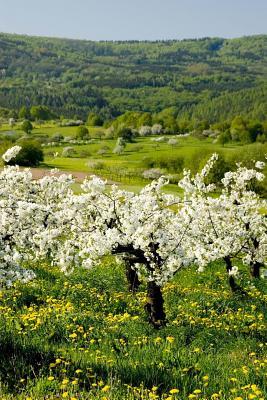 Read Apple Trees in Bloom in the Spring Journal: 150 Page Lined Notebook/Diary -  file in ePub
