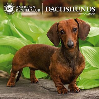 Read American Kennel Club Dachshunds 2017 Wall Calendar -  | PDF