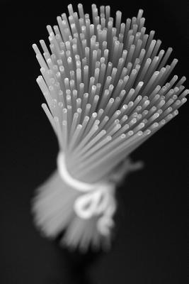 Read Online Wrapped Spaghetti Noodles in Black and White: Blank 150 Page Lined Journal for Your Thoughts, Ideas, and Inspiration -  file in PDF