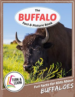 Read Online The Buffalo Fact and Picture Book: Fun Facts for Kids About Buffaloes (Turn and Learn) - Gina McIntyre file in ePub
