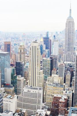 Read Journal: New York, City Life, Buildings, 6x9, 150 Lined Sheets (Front & Back Image Cover) -  | PDF