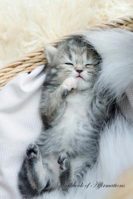 Read Cute Tabby Kitten Workbook of Affirmations Cute Tabby Kitten Workbook of Affirmations: Bullet Journal, Food Diary, Recipe Notebook, Planner, To Do List, Scrapbook, Academic Notepad - Alan Haynes | ePub