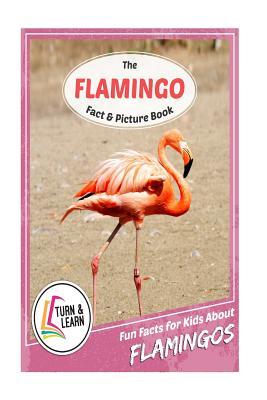 Full Download The Flamingo Fact and Picture Book: Fun Facts for Kids about Flamingos - Gina McIntyre file in PDF