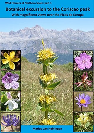 Download Botanical excursion to the Coriscao peak: With magnificent views over the Picos de Europa (Wild Flowers of Northern Spain Book 1) - Marius van Heiningen | PDF
