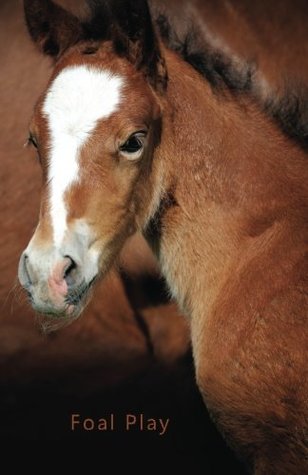 Read Online Pocket Password Book (Foal Play): A discreet password log book for people who love horses - Ceri Clark file in ePub