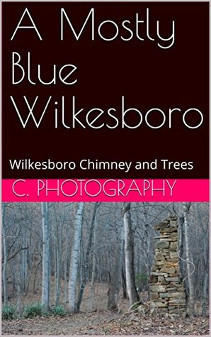 Download A Mostly Blue Wilkesboro: Wilkesboro Chimney and Trees (Wilkesboro Details Book 1) - C. Photography | ePub