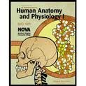 Read Study Guide for An Introduction to Human Anatomy and Physiology I BIO 141 - Patricia R. Daron | PDF