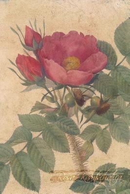 Download Rosa Kamtschatica: Floral Notebook with Flower Illustrations on Every Page - Coming Up Roses | PDF