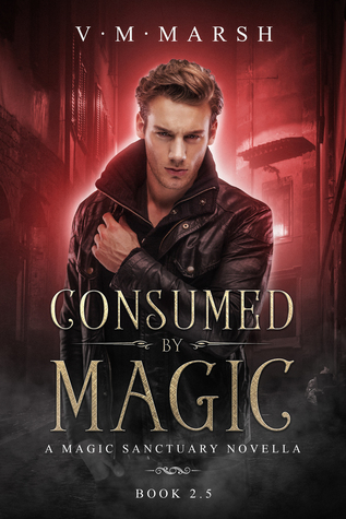 Download Consumed by Magic: A Magic Sanctuary Novella (The Magic Sanctuary Trilogy) - V.M. Marsh | PDF